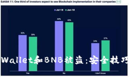 如何避免tpWallet和BNB被盗：安全技巧与经验分享