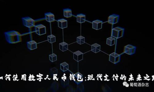 如何使用数字人民币钱包：现代支付的未来之路