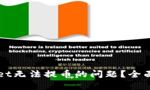 怎么解决tpWallet无法提币的问题？全面指南与解决办法