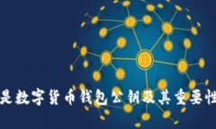什么是数字货币钱包公钥及其重要性解析