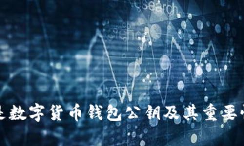 什么是数字货币钱包公钥及其重要性解析