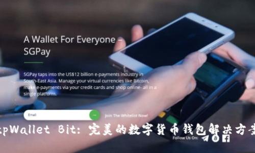 tpWallet Bit: 完美的数字货币钱包解决方案