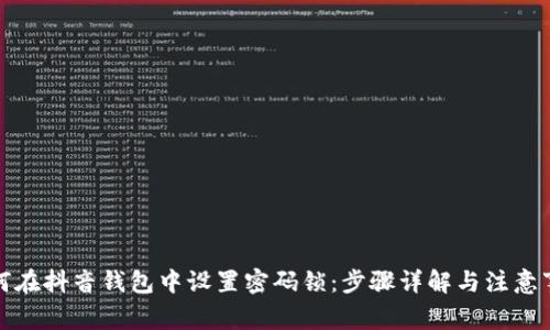 如何在抖音钱包中设置密码锁：步骤详解与注意事项
