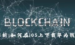 全面解析：如何在iOS上下载华为钱包应用