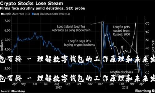 数字钱包百科 - 理解数字钱包的工作原理和未来发展趋势

数字钱包百科 - 理解数字钱包的工作原理和未来发展趋势