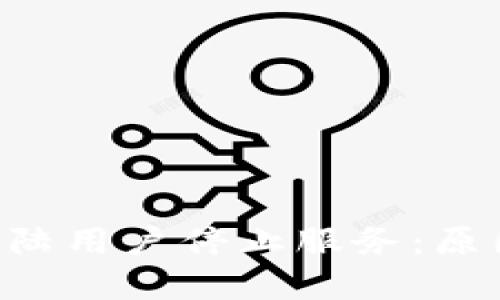 tpWallet内测版大陆用户停止服务：原因、影响与替代方案