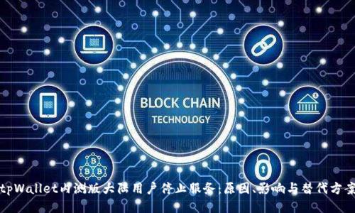 tpWallet内测版大陆用户停止服务：原因、影响与替代方案