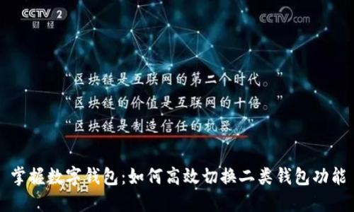 掌握数字钱包：如何高效切换二类钱包功能