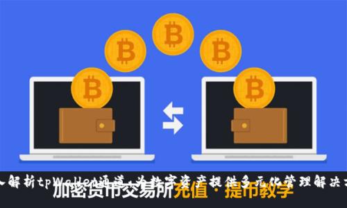 深入解析tpWallet通道：为数字资产提供多元化管理解决方案