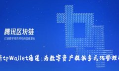 深入解析tpWallet通道：为数字资产提供多元化管理