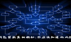 : 数字钱包贷款真相揭秘：你应该知道的风险与陷