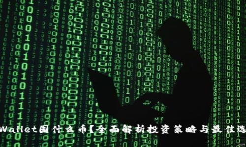 tpWallet囤什么币？全面解析投资策略与最佳选择