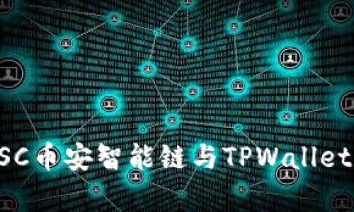 全面解析BSC币安智能链与TPWallet的使用指南