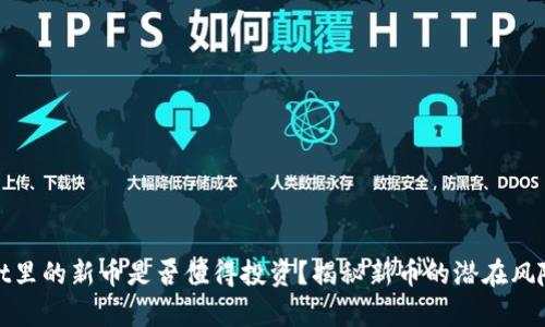 tpWallet里的新币是否值得投资？揭秘新币的潜在风险与机会