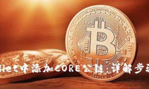 如何在tpWallet中添加CORE公链：详解步骤与注意事项
