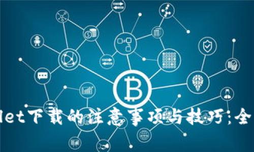 tpWallet下载的注意事项与技巧：全面解析