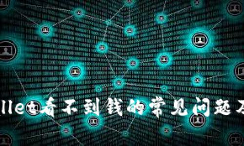 解决tpWallet看不到钱的常见问题及应对策略