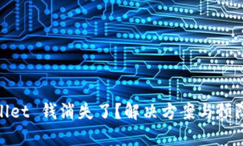 tpWallet 钱消失了？解决方案与预防措施