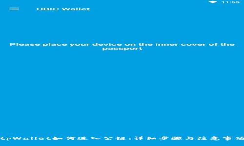 tpWallet如何进入公链：详细步骤与注意事项