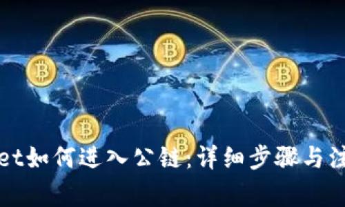 tpWallet如何进入公链：详细步骤与注意事项