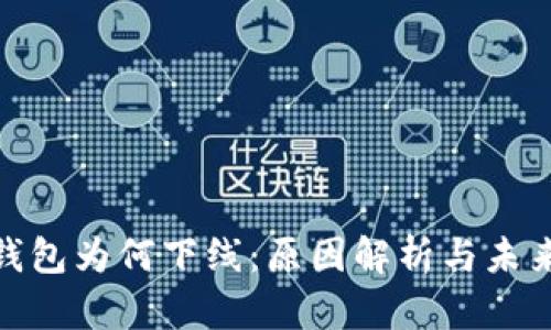数字钱包为何下线：原因解析与未来影响