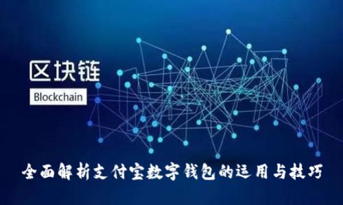 全面解析支付宝数字钱包的运用与技巧