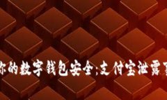 如何保护你的数字钱包安全：支付宝泄露事件的