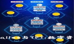 全面解析tpWallet与TPT：数字资产管理的未来