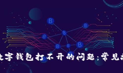 如何解决农行数字钱包打不开的问题：常见故障与解决方案
