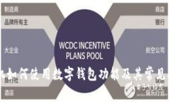 苹果手机如何使用数字钱包功能及其常见问题解