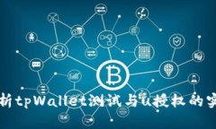 全面解析tpWallet测试与u授权的实用指南