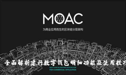 : 全面解析建行数字钱包明细功能及使用技巧