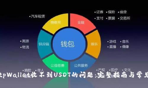 解决tpWallet收不到USDT的问题：完整指南与常见问答