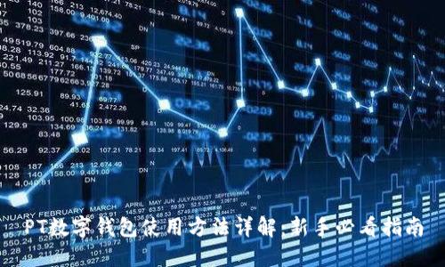 PT数字钱包使用方法详解：新手必看指南