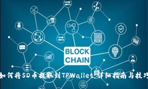 如何将SD币提取到TPWallet：详细指南与技巧