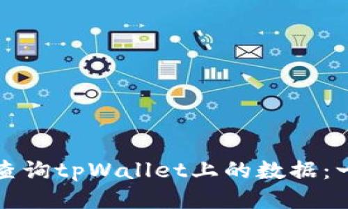 如何高效查询tpWallet上的数据：一站式指南