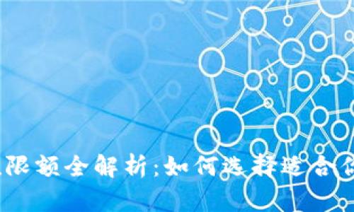 2023年数字充值限额全解析：如何选择适合你的电子支付工具